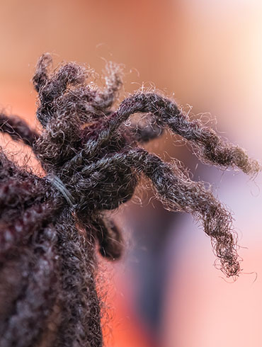Close-up of a natural hairstyle featuring twisted, dark brown hair strands styled into a small bun.